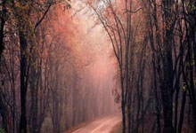 欧洲足球大战拉开序幕，球队实力碰撞