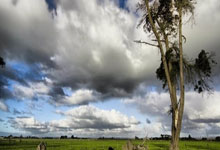 世界足坛最新情报曝光，球迷热议不断