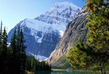 英格兰女足连胜青睐球迷期待决赛战役