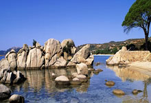 挪威女足遭遇續敗，提前告別賽場